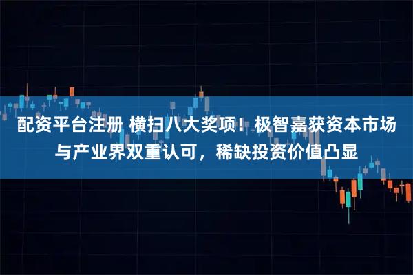 配资平台注册 横扫八大奖项！极智嘉获资本市场与产业界双重认可，稀缺投资价值凸显