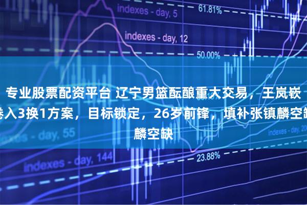 专业股票配资平台 辽宁男篮酝酿重大交易，王岚嵚卷入3换1方案，目标锁定，26岁前锋，填补张镇麟空缺